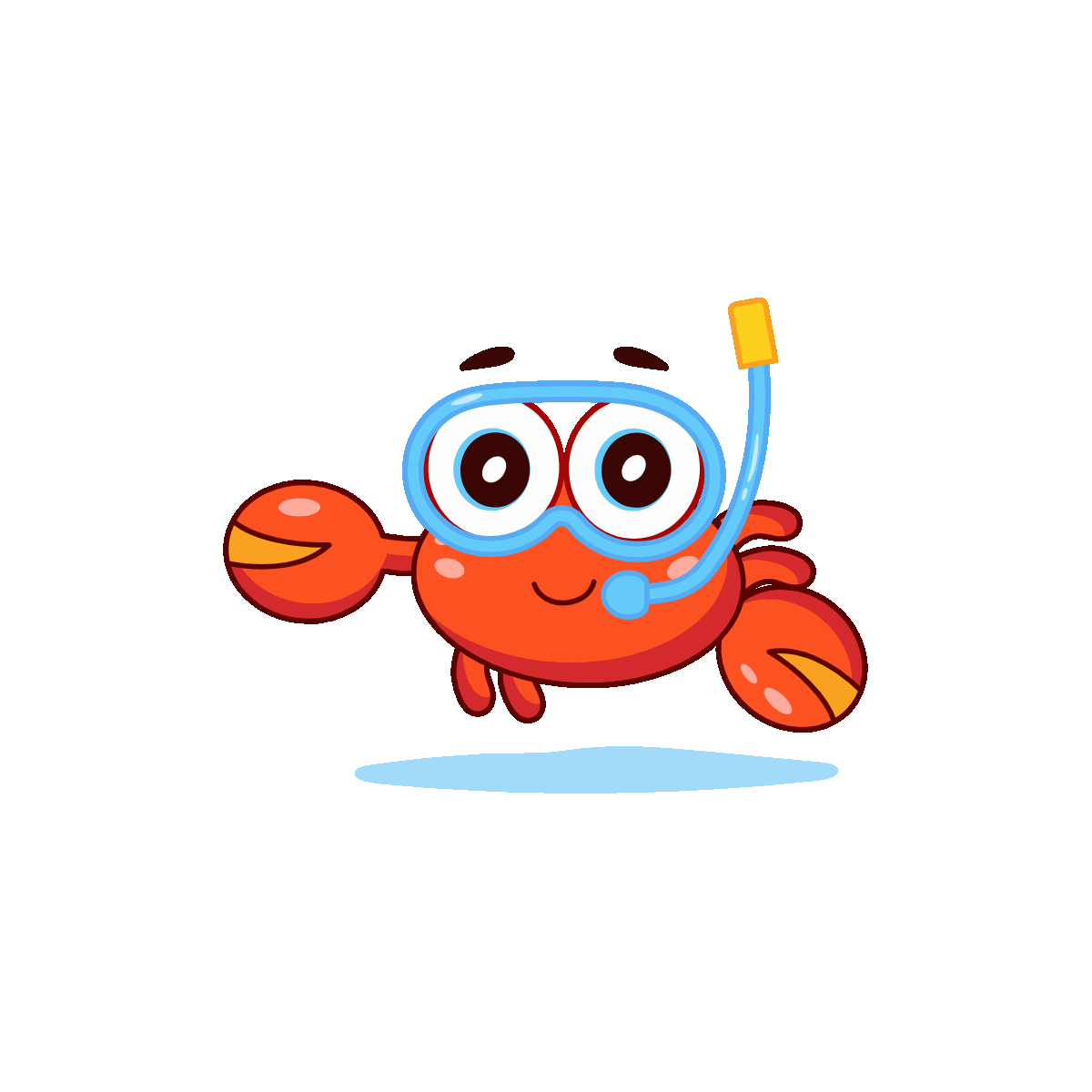 Snorkeling Crab