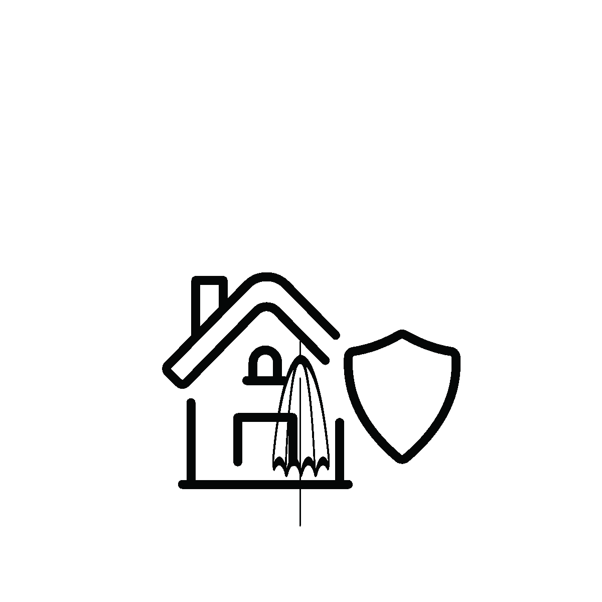 Animated home insurance protection plan