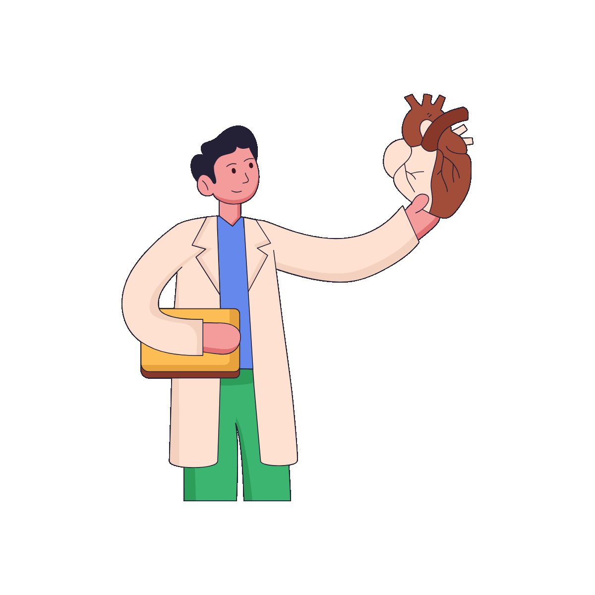 Flat Animated Heart Model Illustration