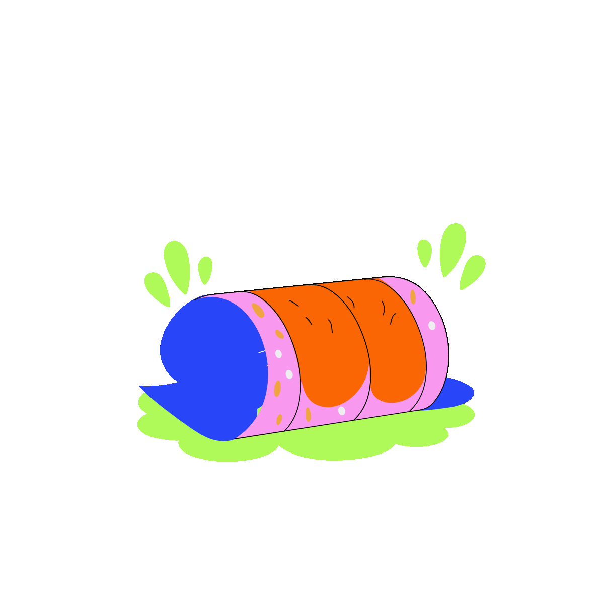 Cat Burrito