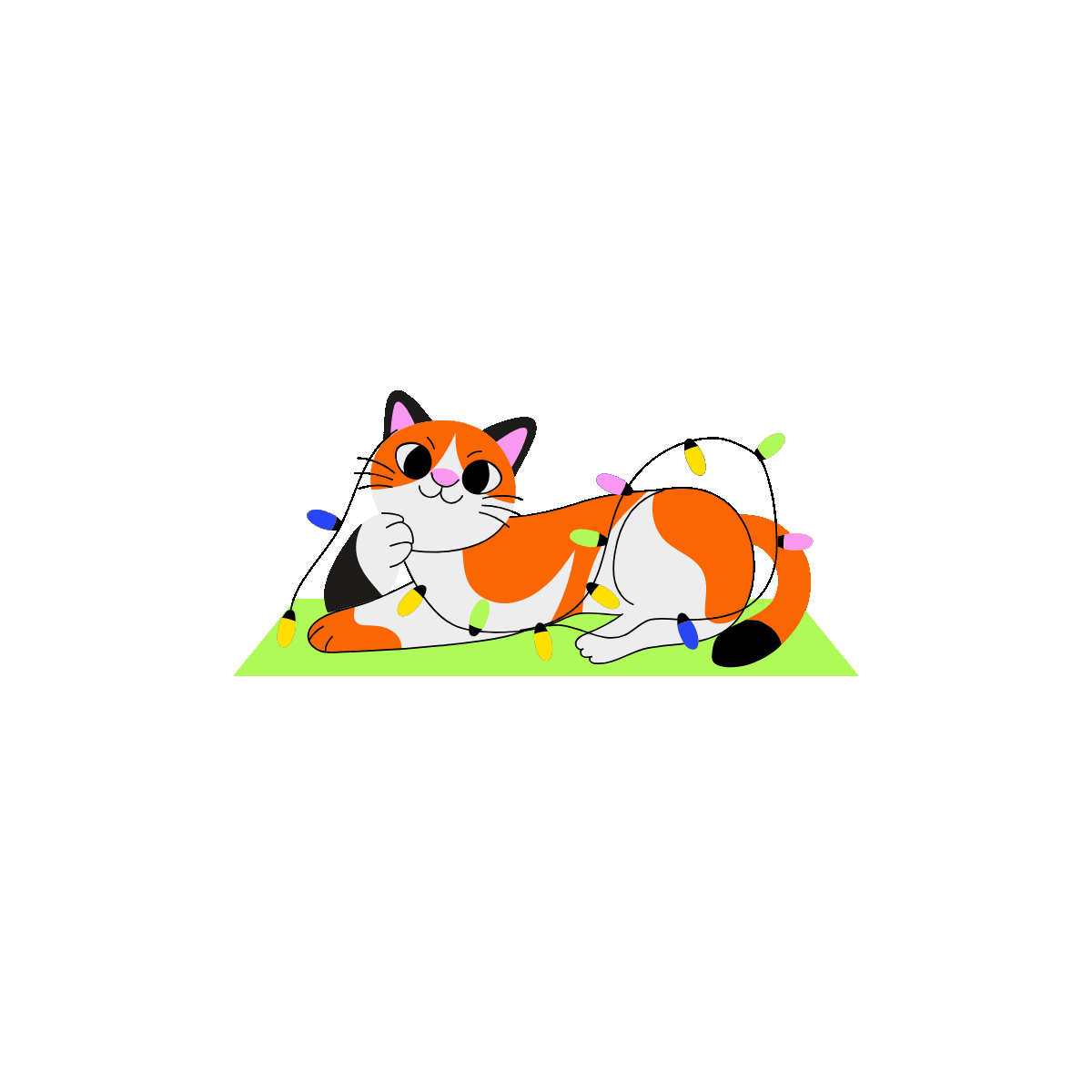 Playing Cat