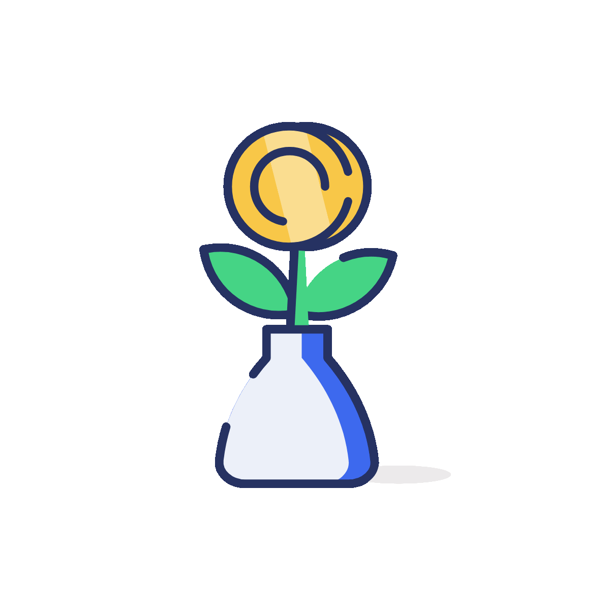 Wealth Growth